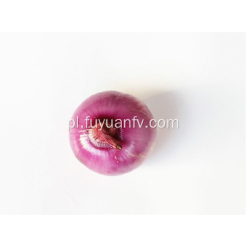 Fresh Good Qulality Red Onion